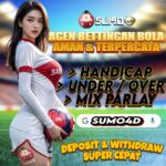 PREDIKSI PERTANDINGAN BOLA 02 – 03 SEPTEMBER 2025