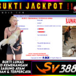BUKTI JACKPOT SUMO4D-